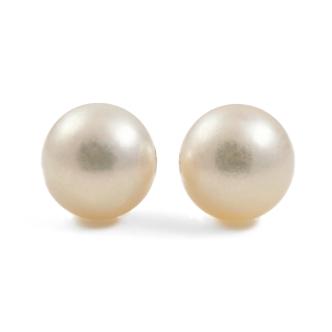 8.3mm Akoya Pearl Earrings