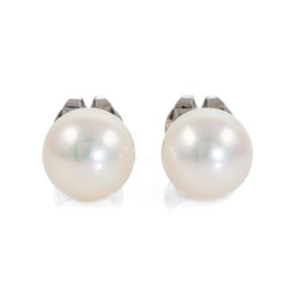 8.4mm Akoya Pearl Earrings
