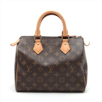Louis Vuitton Monogram Speedy 25