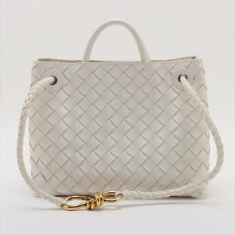Bottega Veneta Small Andiamo