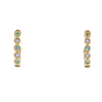 Paraiba Tourmaline & Tanzanite Earrings