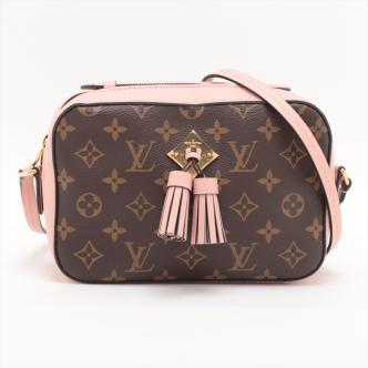 Louis Vuitton Saintonge Bag