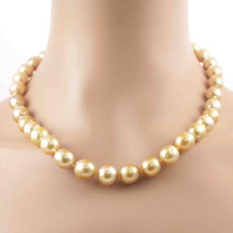 12.8-10.1mm Golden South Sea Pearl Necklace